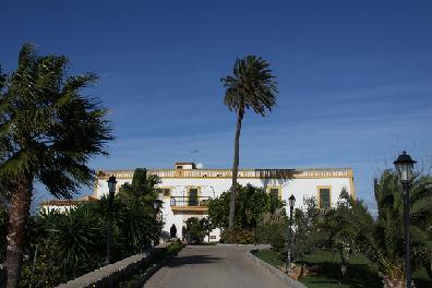 Son Manera Hotel Rural Montuiri  Eksteriør bilde